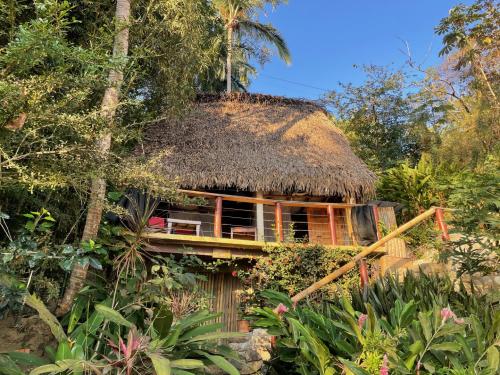 casa-bamboo